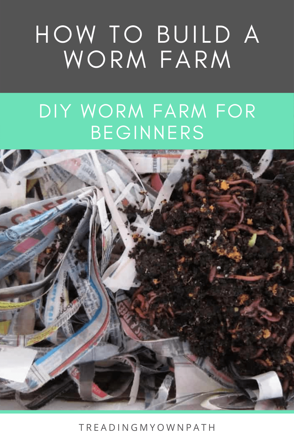 How to Build a DIY Worm Farm