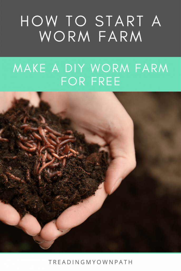 How To Build A Diy Worm Farm Treading, Making A Worm Farm At Home