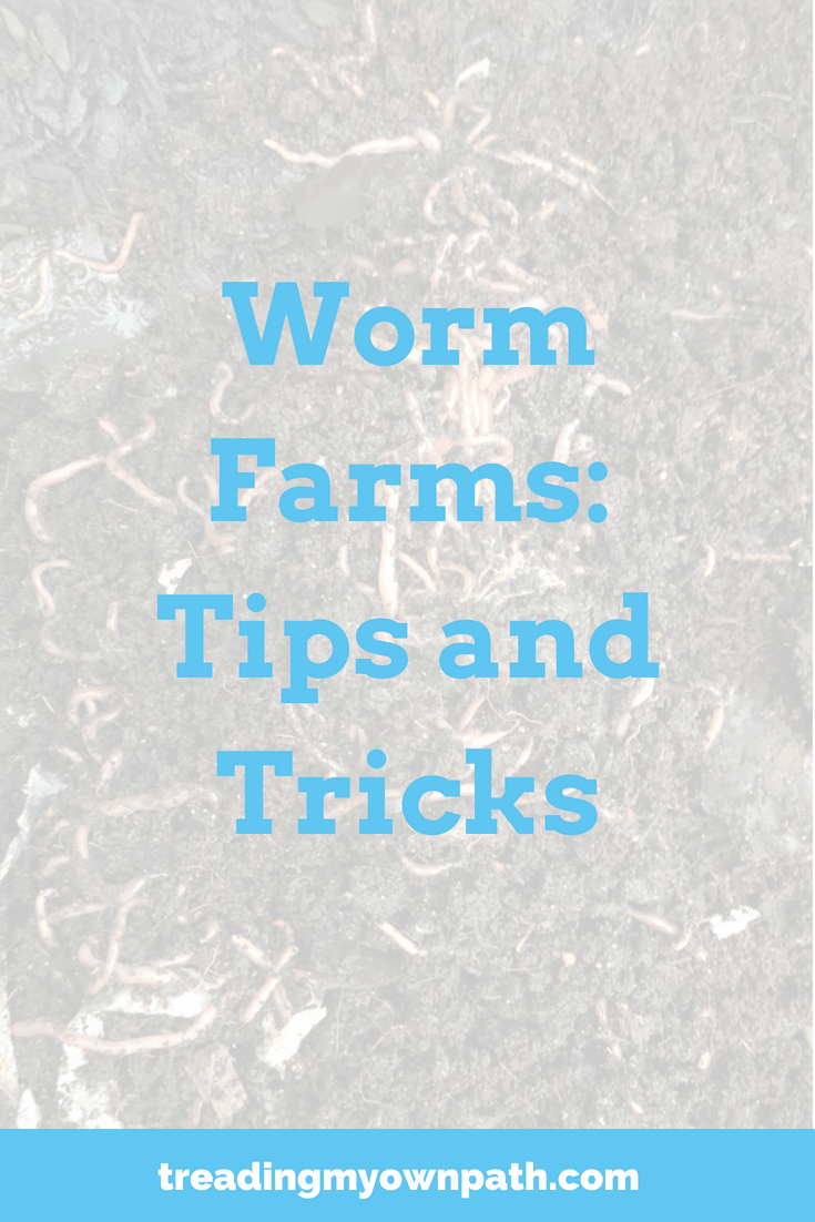 Worm Farms...Tips and Tricks