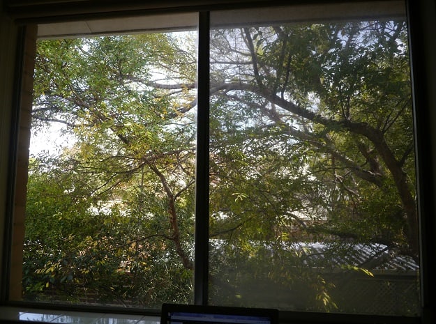 View from office window