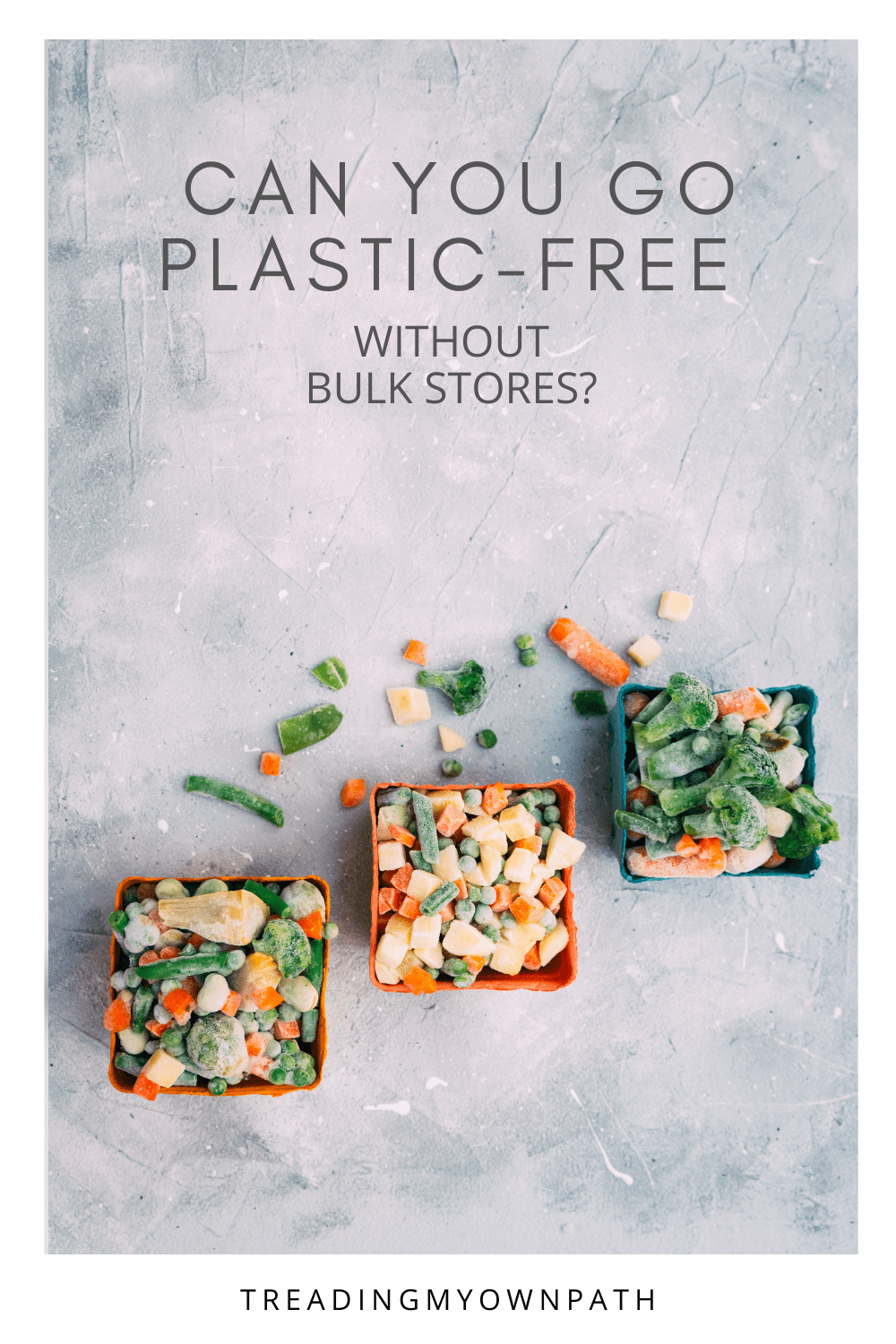 Can You Live Plastic-Free without Bulk Stores?
