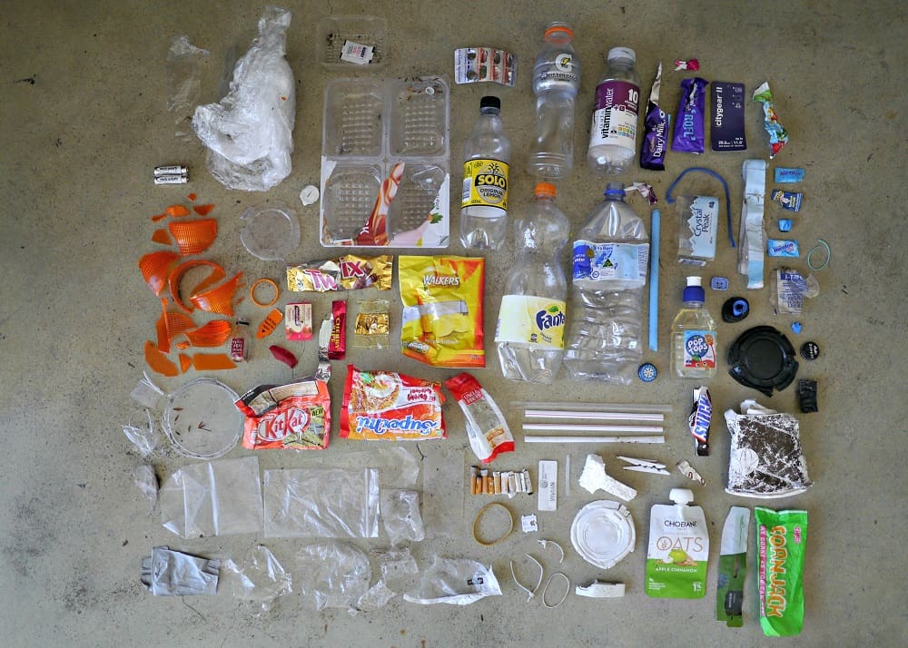 Treading My Own Path 30 Minute Litter Pick Up Litterati Take3 July 2016