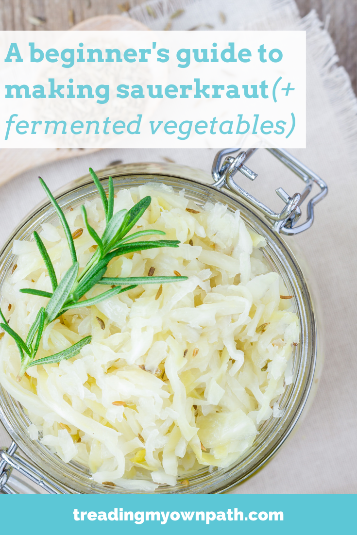 A Beginner\'s Guide to Sauerkraut (+ Fermented Vegetables)