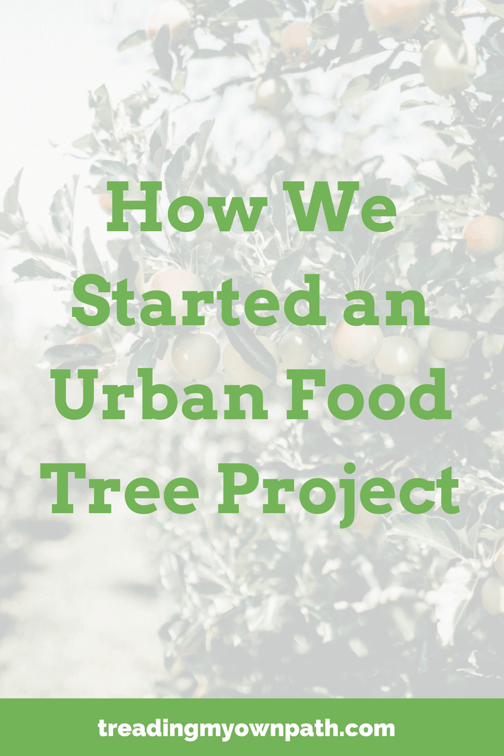 How We Started an Urban Food Tree Project
