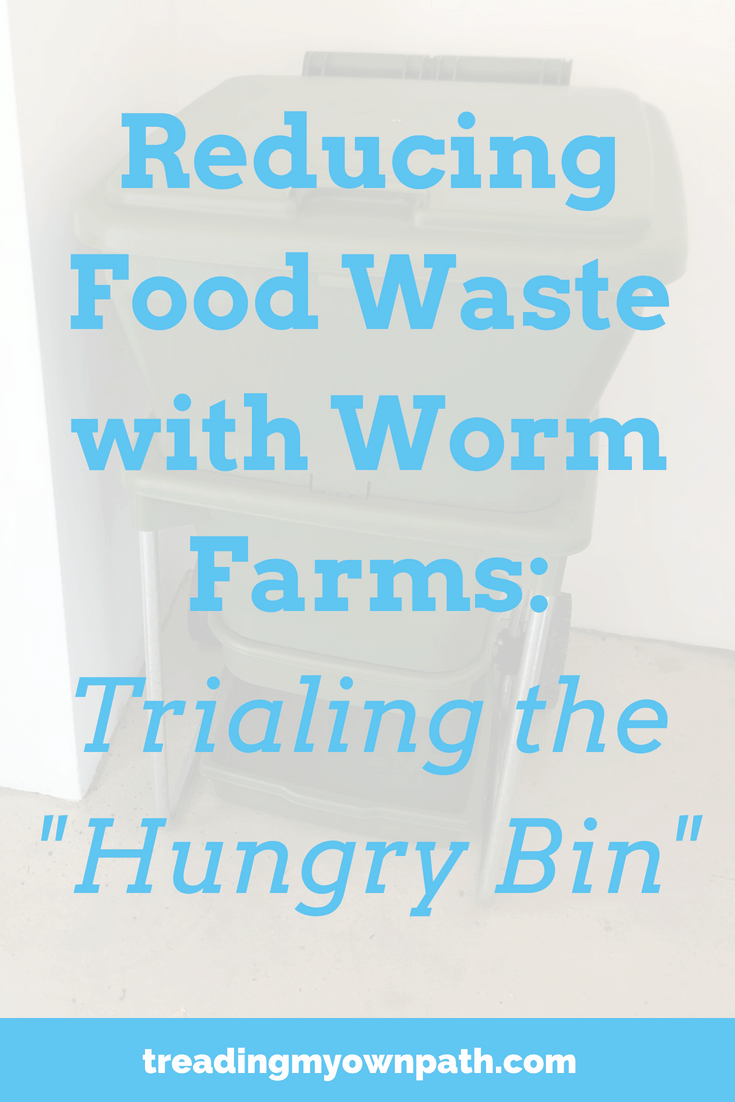 Reducing Food Waste with Worm Farms: Trialing the Hungry Bin