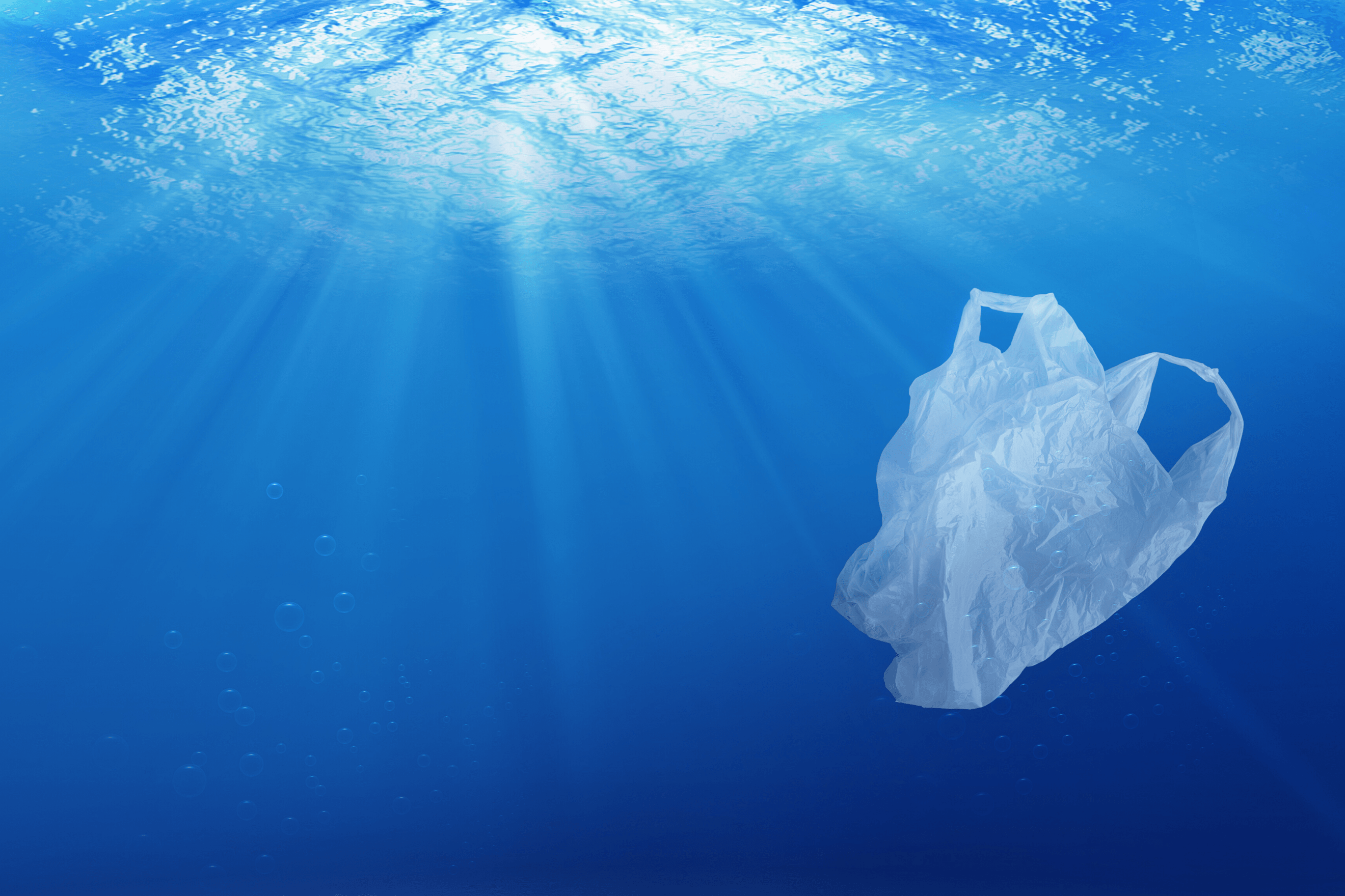 Clear, Blue, or Green It doesn't matter. Plastic bags NEVER, ever, ever  GO inside or should hold items in your RECYCLING BIN. A sturdy…