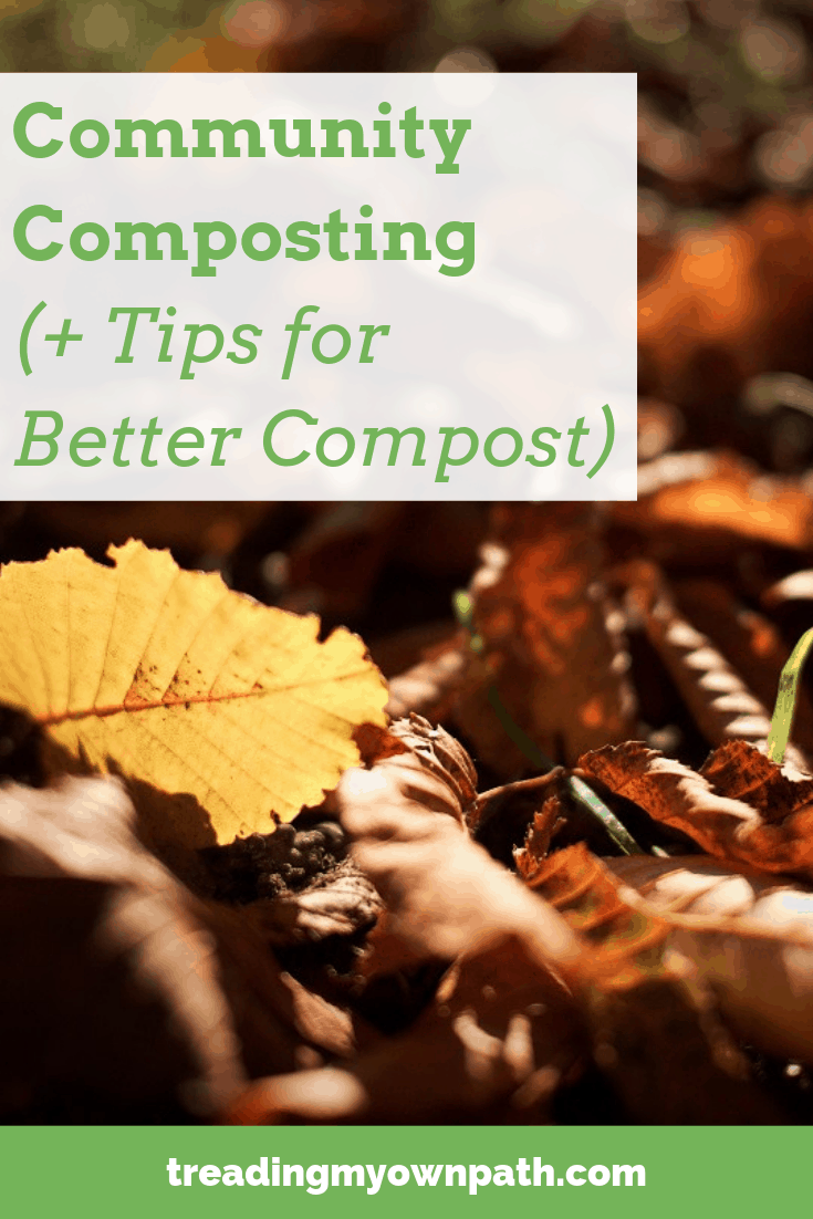 Community Composting (+ Tips For Better Compost)
