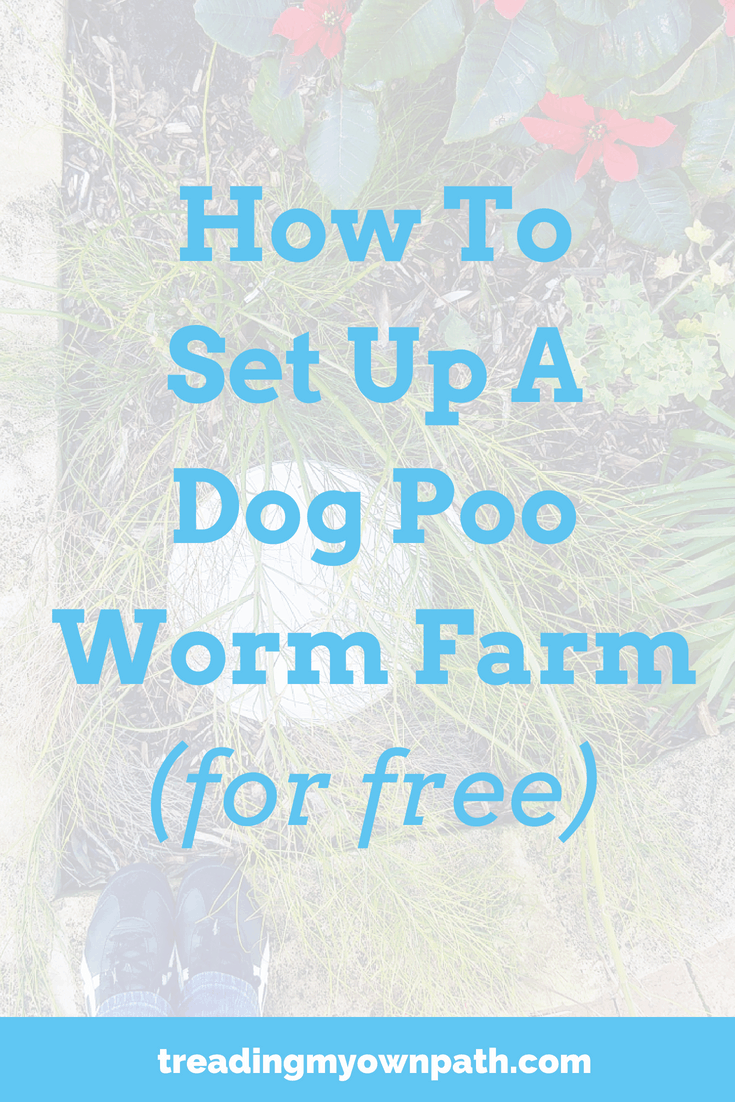 How To Set Up A Dog Poo Worm Farm