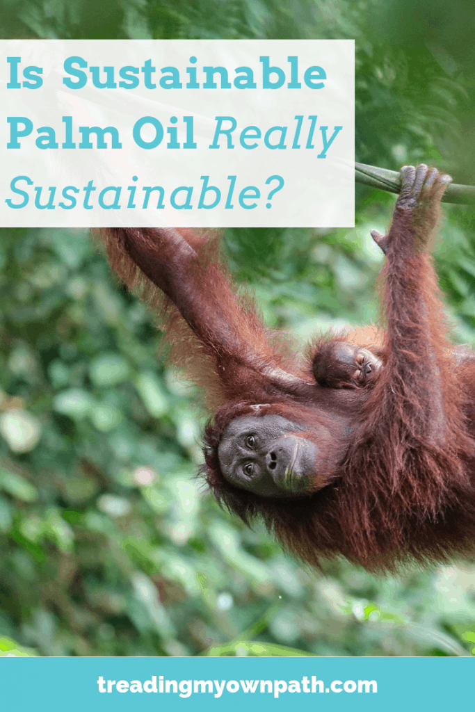 Sustainable Palm Oil 101, The Mad Optimist