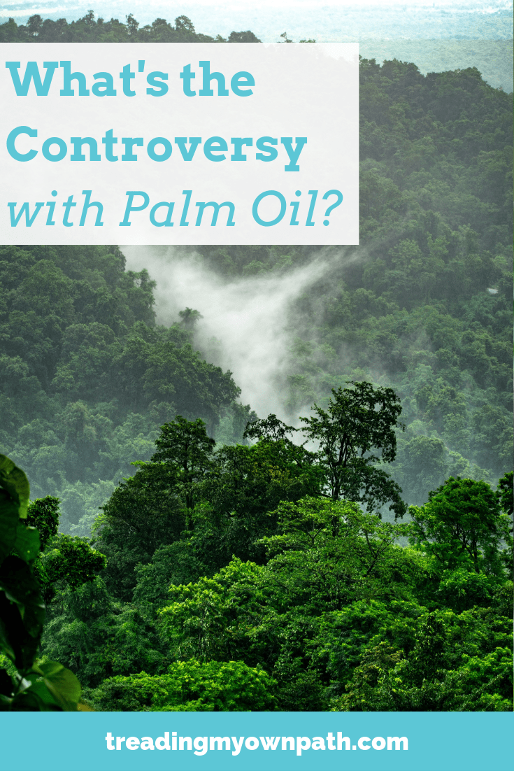 What\'s the Controversy with Palm Oil (and is Sustainable Palm Oil Actually Sustainable)?
