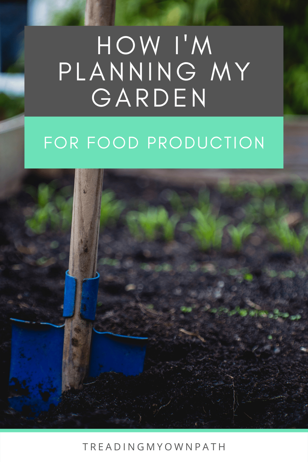 How I\'m planning my garden for food production
