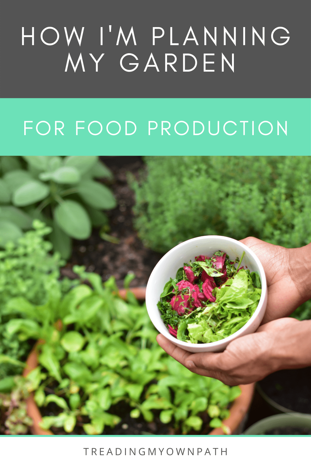 How I\'m planning my garden for food production