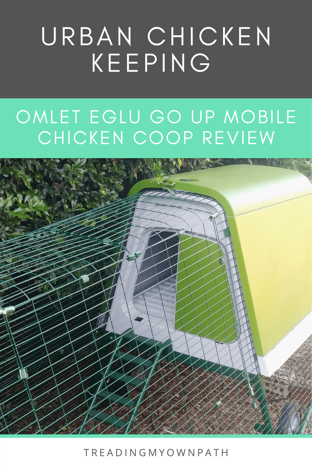 Keeping chickens: an Omlet Eglu Chicken Coop Review