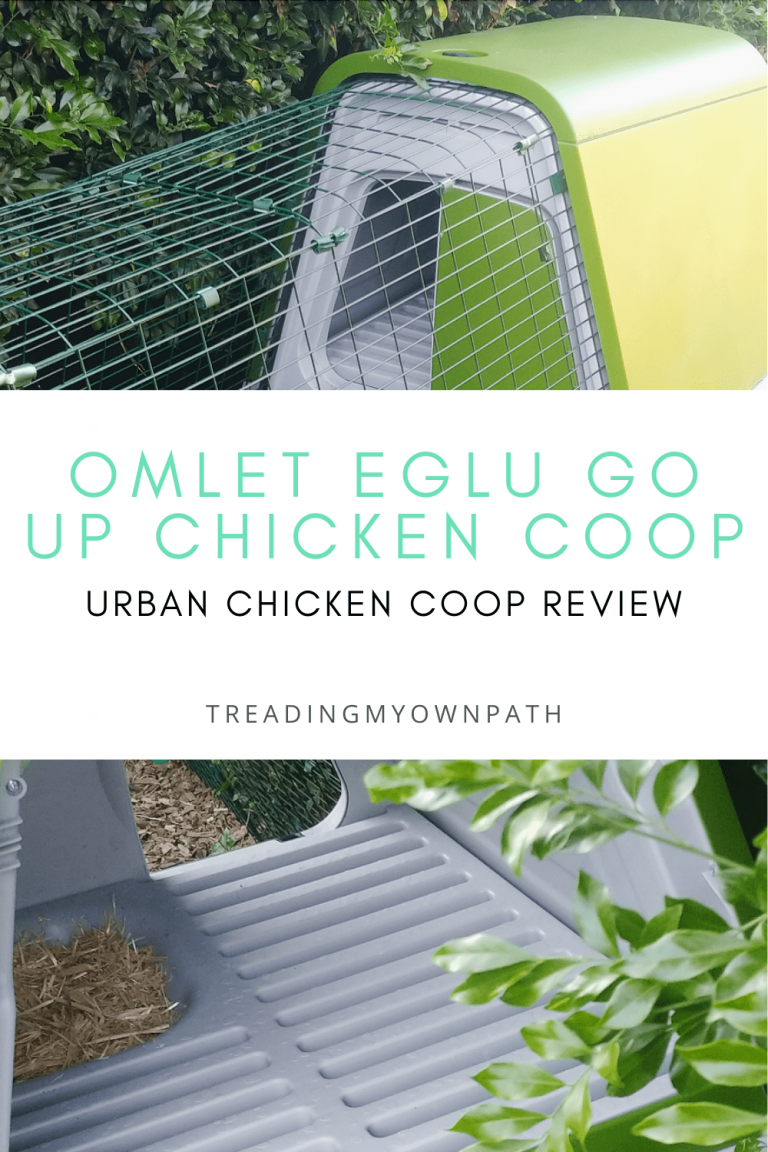 Keeping chickens an Omlet Eglu Chicken Coop Review Treading My Own Path Less waste, less