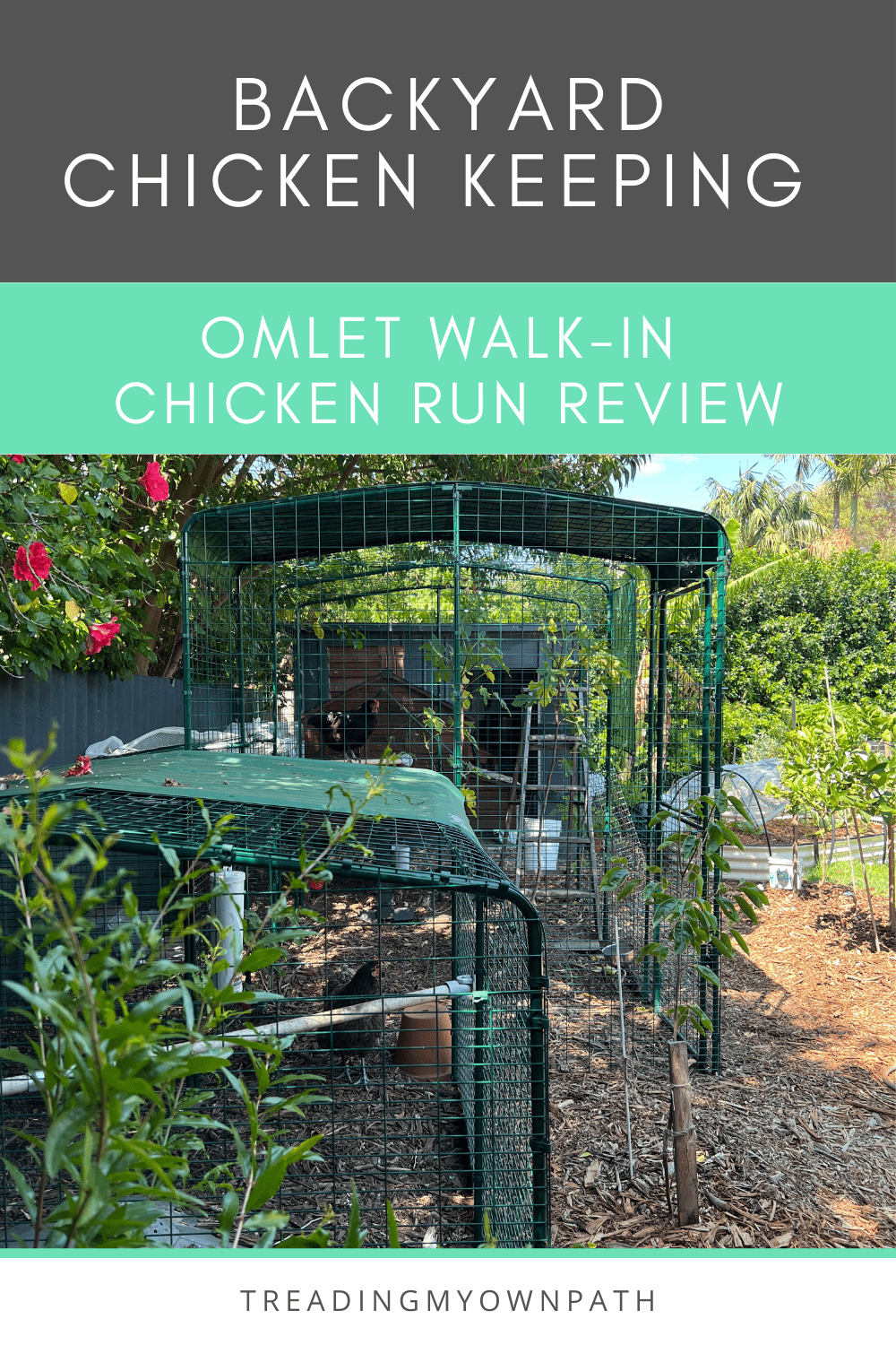 Keeping chickens: Omlet walk-in run and PoleTree review